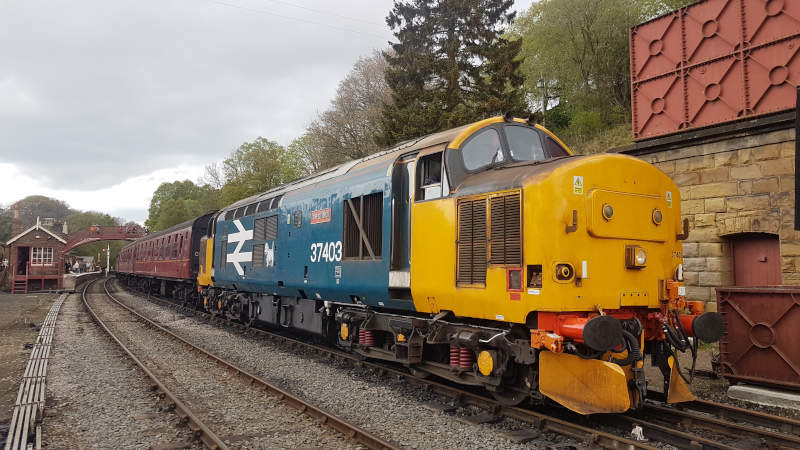 37403